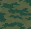 Camouflage Green