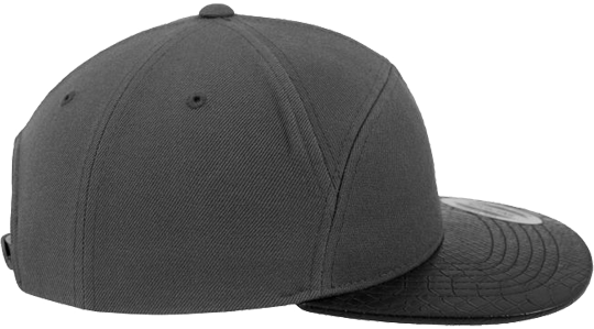 Arch Flexfit Snapback Grau/Schwarz