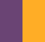 Purple / Gold