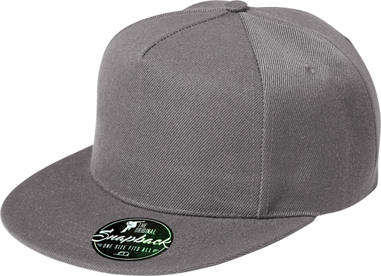 5 Panel Unisex Rap Cap Altsilber