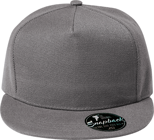 5 Panel Unisex Rap Cap Altsilber